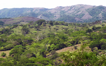 Photo of small patches of tropical dry forest  on hills